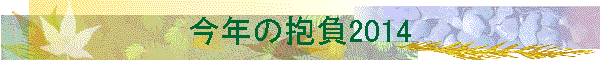 ���N�̕���2014